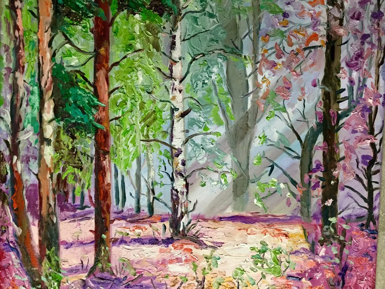 Forest in the morning