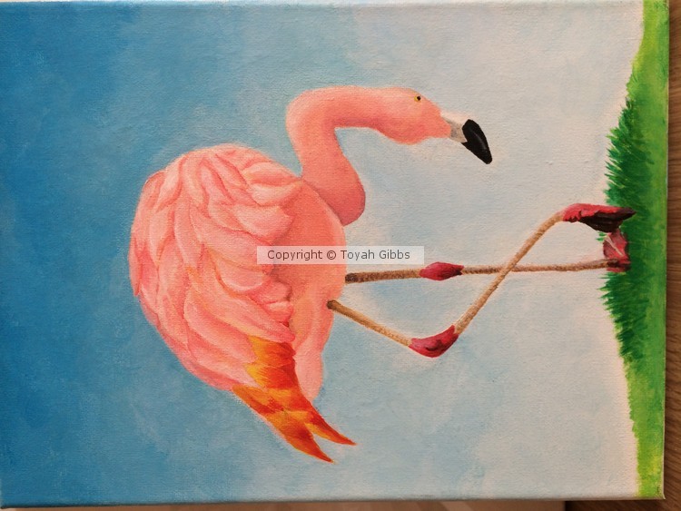 Flamingo
