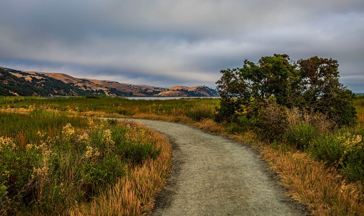 Shoreline Trail - July 7  2025
