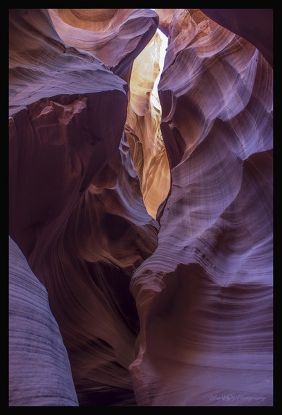 Looking Skyward