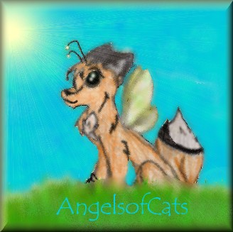 Fox o Faerie