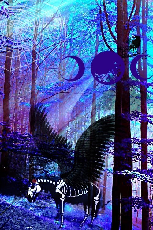 My dreamland 