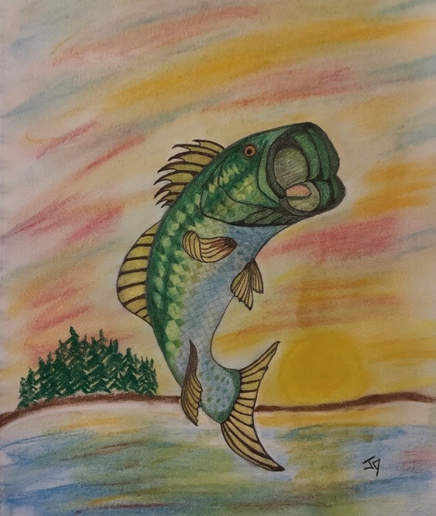 Bass jumping sunset