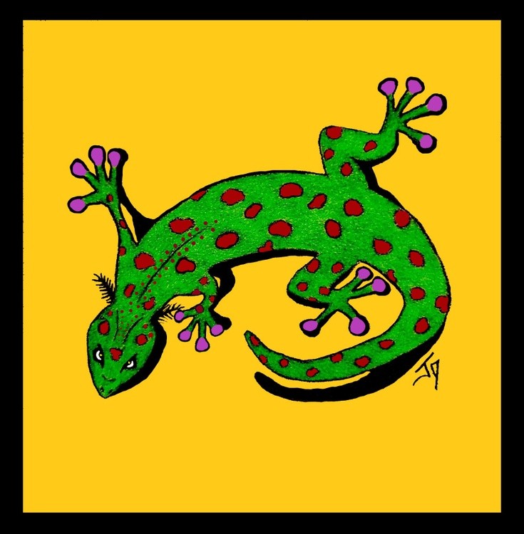 Gecko DE 23