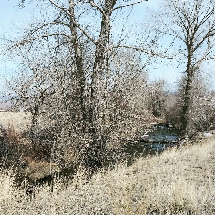 IMG 20200426 172204 182
