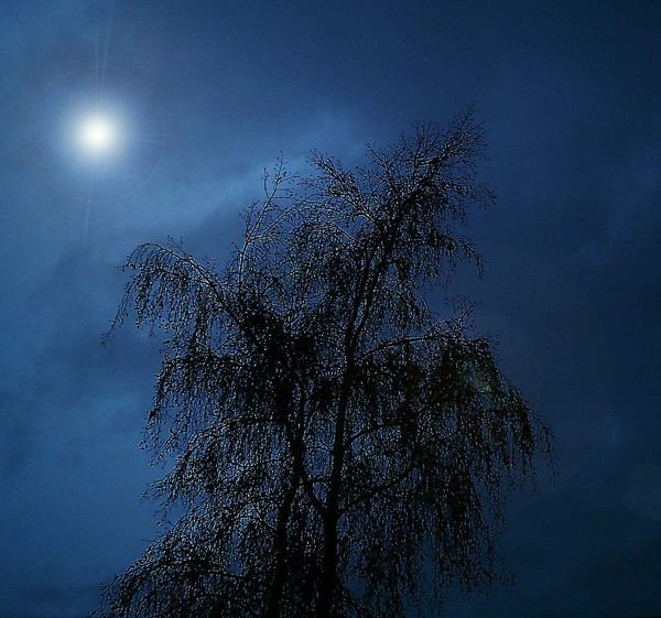 Lonesome......