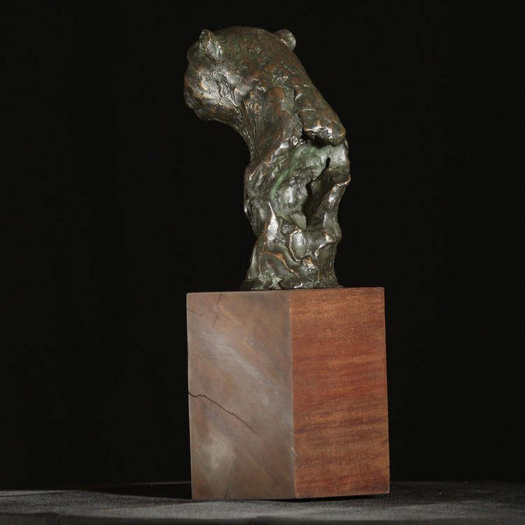 CHEETAH BUST