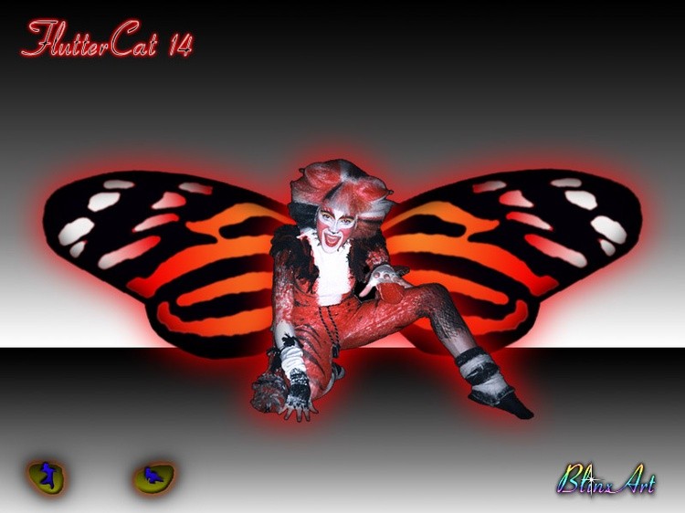 FlutterCat14
