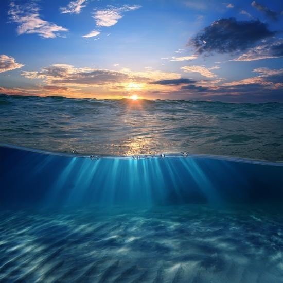 abstract-design-template-with-underwater-part-and-sunset-skylight-splitted-by-waterline u-l-q19ys4h0