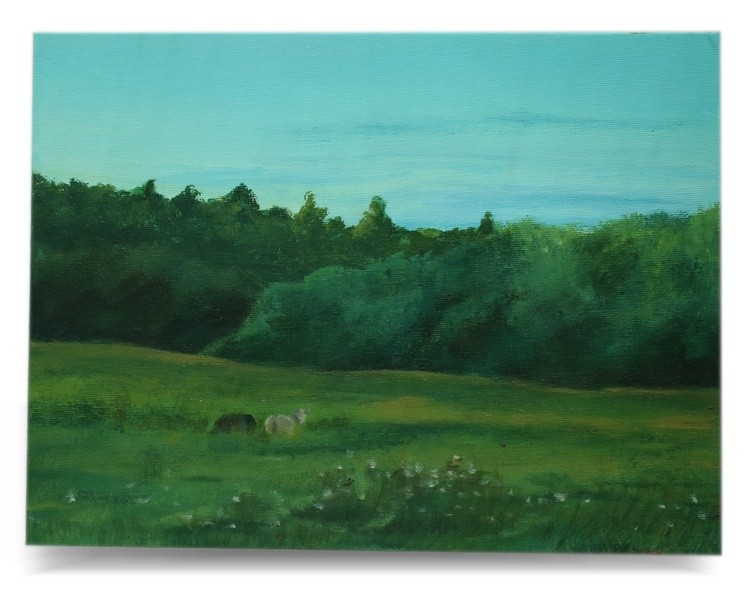Blooming fields