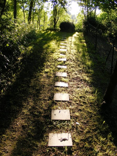 the path
