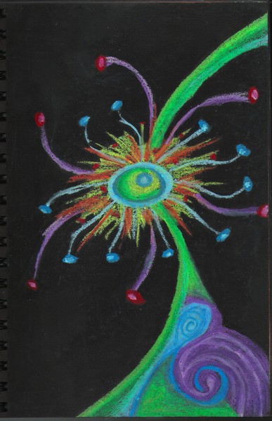 The eye of the Peacock