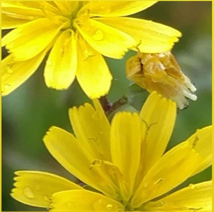 IMG 20191101 055658 996