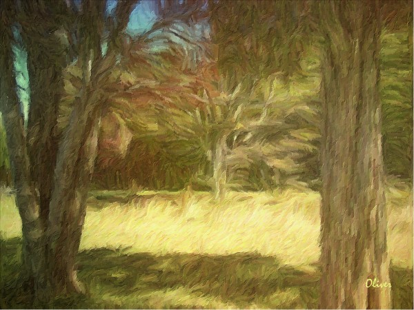 Midday Sun