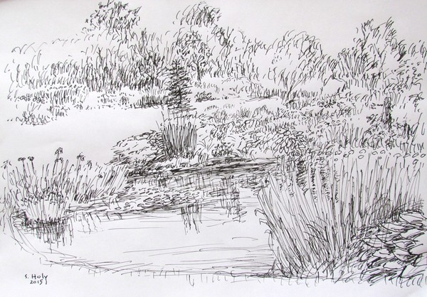 POND - INK