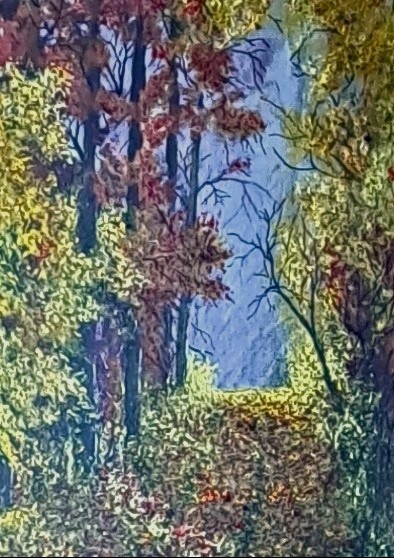 Early fall morning walk