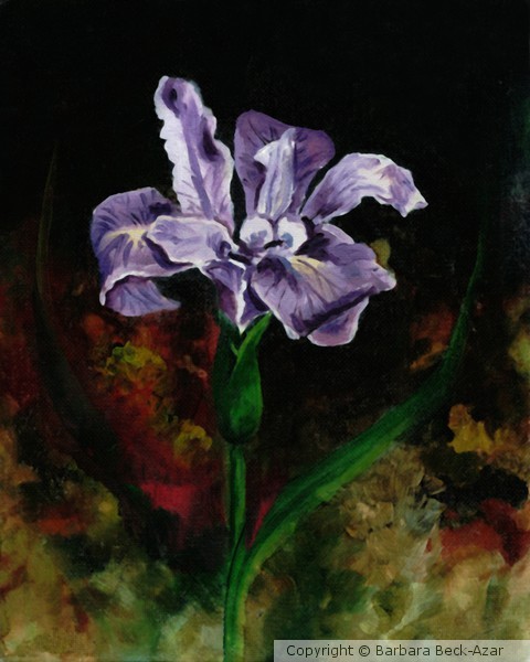 Purple Iris