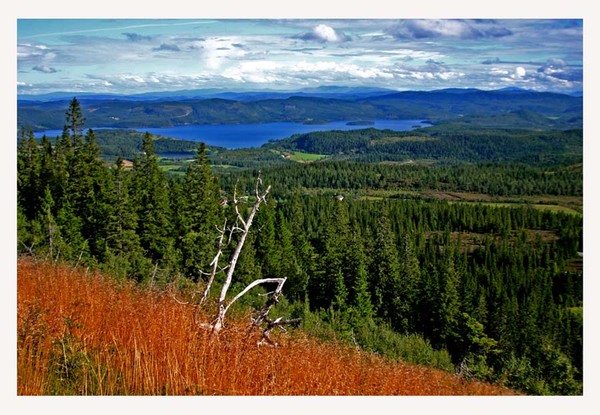View to lake Jonsvatnet