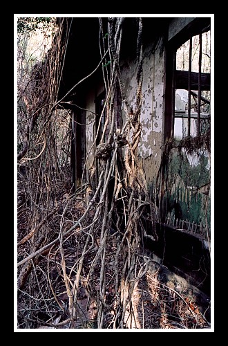 Taiwan: 200 Year Old House Abandoned 50 Years