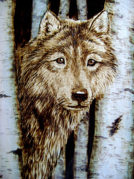 Wolf In The Trees