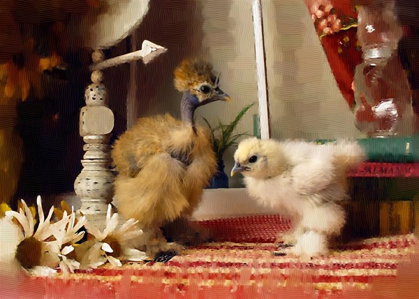 Fluffers