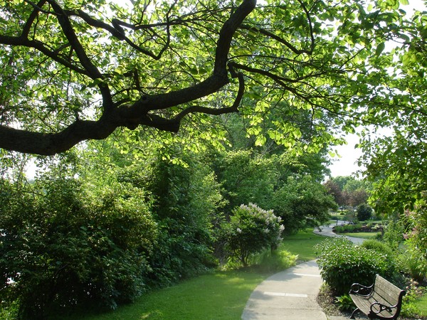 Bench