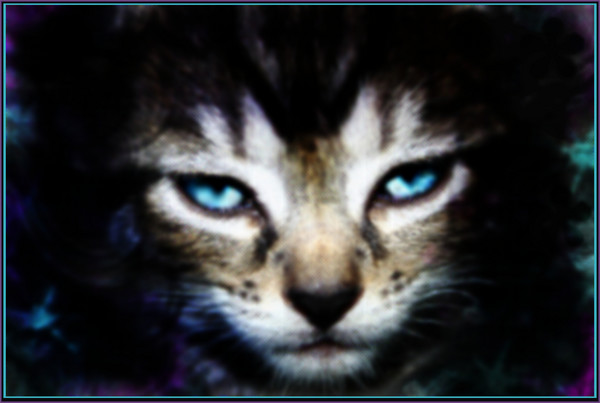 Aqua Eyes