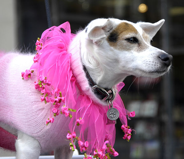 RUFFles