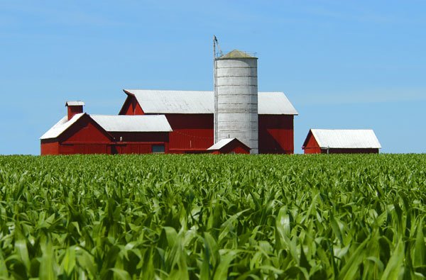 Green Acres