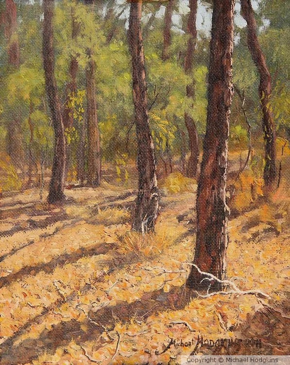 Bushmead Rifle Range 1