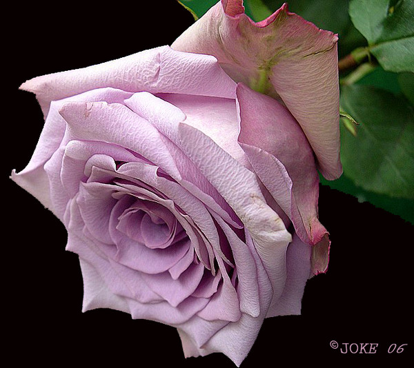 For a tempestuous day