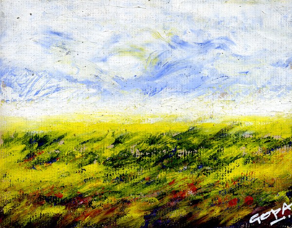 WIN FIELD