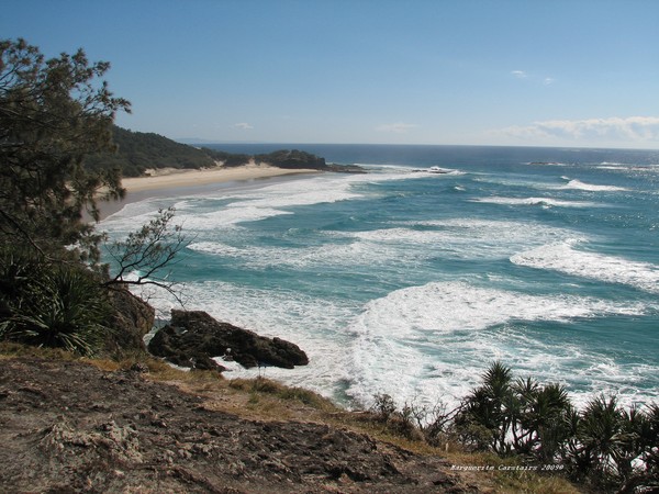 Surf Cove