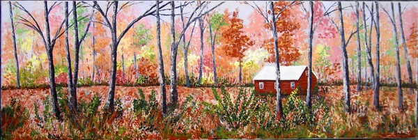 Little House in the Big Forest