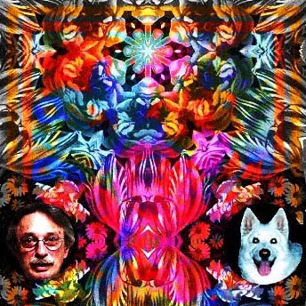 Looking Glass