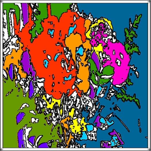 digital abstract floral