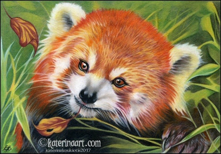 redpanda