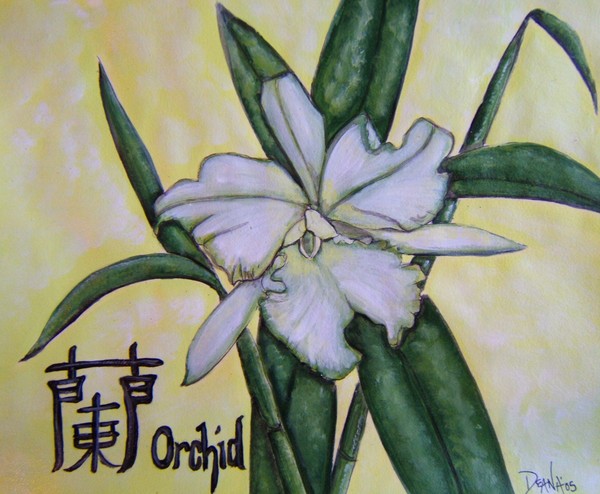 Orchid