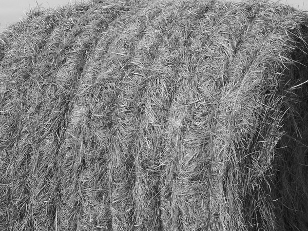 Kansas Untitled #5