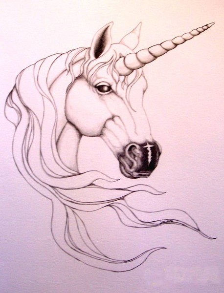 Unicorn