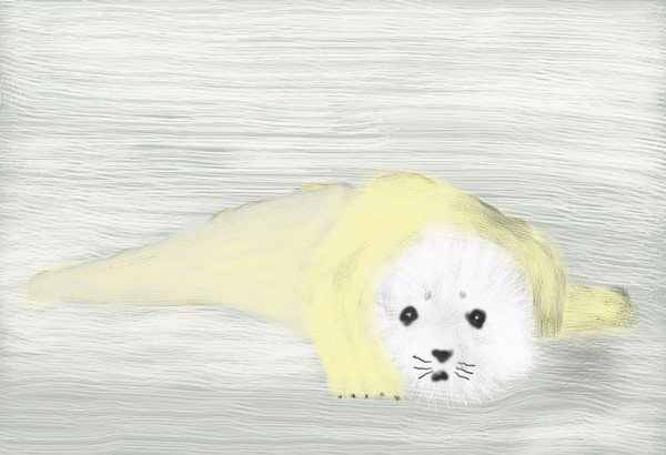 O461 Harp Seal Pup