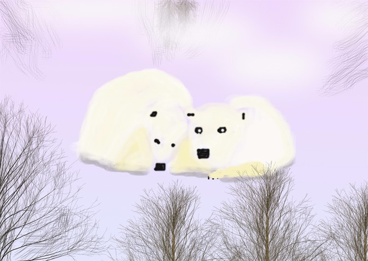 Polar Cubs hiding in the Snow  (O978)