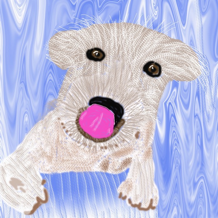 Puppy on Blue O931