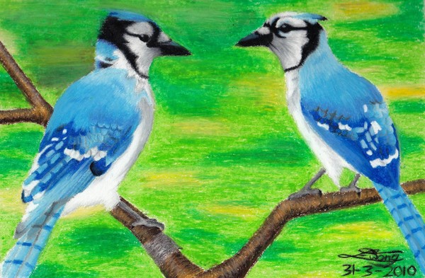Beauty of Blues Together