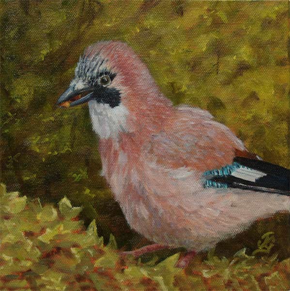 All Fluffed Up.