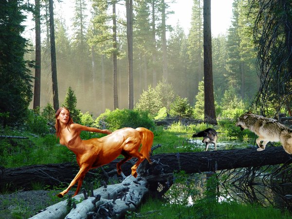 Wolf Attack!