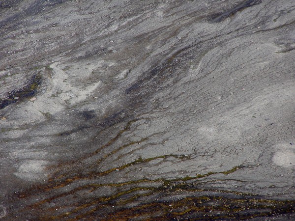 Arctic  texture
