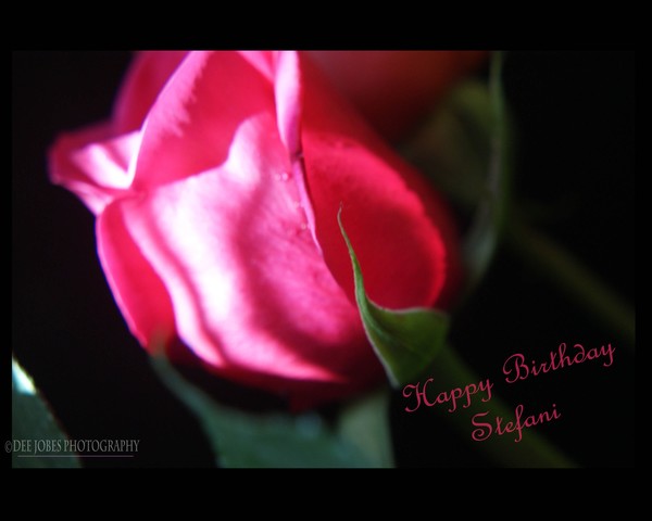 Happy Birthday Stefani