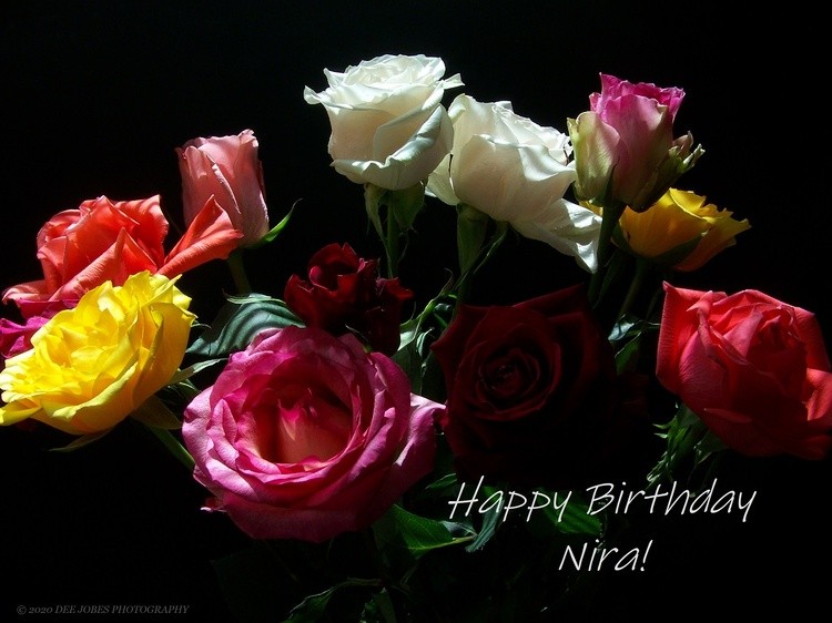 Happy Birthday Nira!