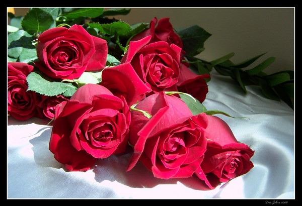 Love's Bouquet